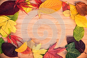 Frame of colorful autumnal leaves, wood background