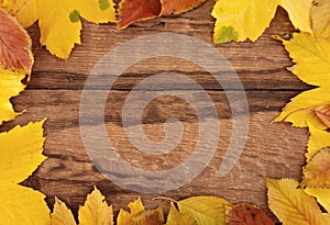 Frame composed of colorful autumn leaves on wooden rustic background. Top view