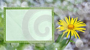 A frame with paper for text on a defocused background with a yellow daisy and a bokeh of white fallen petals
