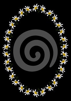A frame of daisy flowers on a black background, the A4 format is vertical