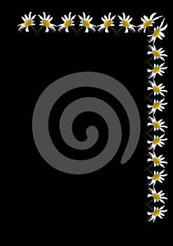 A frame of daisy flowers on a black background, the A4 format is vertical.