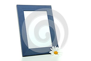 Frame with daysi flower photo