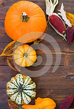 Frame of decorative autumn pumpkins