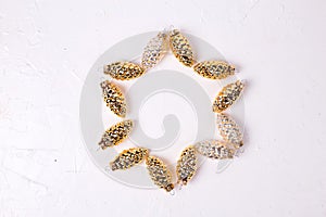 Frame from decorative golden and silver pine cones on white text