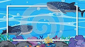 Frame design with whalesharks swimming in the ocean