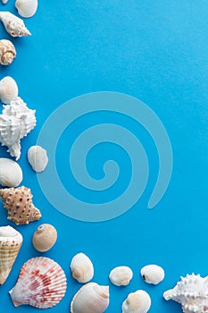 Frame of different sea shells on blue background