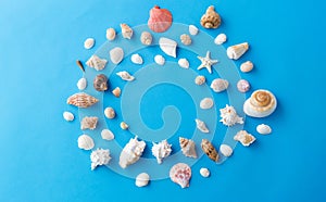 Frame of different sea shells on blue background