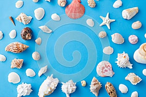 Frame of different sea shells on blue background