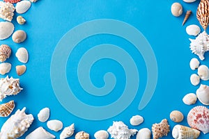 Frame of different sea shells on blue background