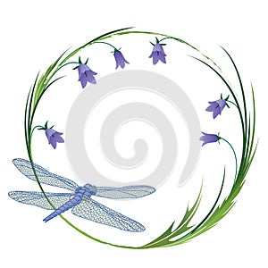 Frame with dragonfly and blubells