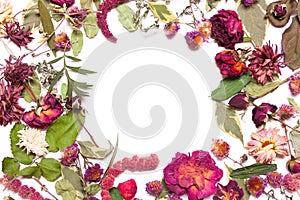 Frame of dried flowers, pink, red roses and green leaves on a white background.