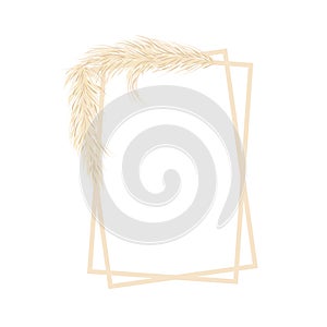 Frame with dry pampas grass. Boho fall illustration of dried plant for decoration, frame, backdrop, wallpaper, wedding