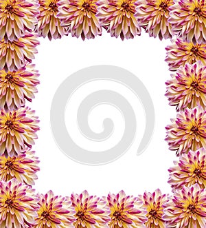 Frame of flowers dahlias