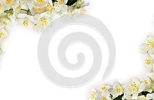 Frame of flowers of Philadelphus  Mock orange, jasmine  on a white background with space for text. Top view, flat lay