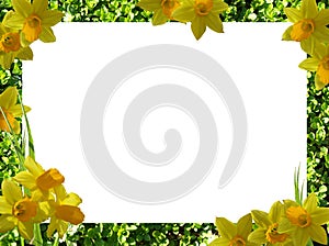 Frame of flowers. png.