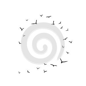 Frame with flying birds. Black swallows in circle. Bird trace. Freedom, romantic, dreams, lyric