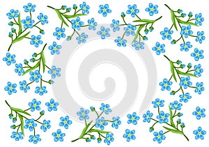 Frame with forget me not flowers. Beautiful decorative spring plants.