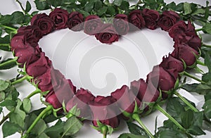 Frame in the form heart of red roses with water droplets on a white background