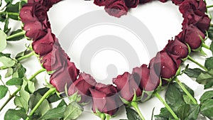 Frame in the form heart of red roses with water droplets on a white background stock footage video
