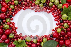 Frame of fresh berries (cherries, red and black currants, gooseberries) with green leaves