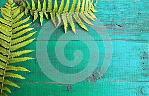 Frame from fresh fern leaves on old painted turquoise wooden background with copy space.