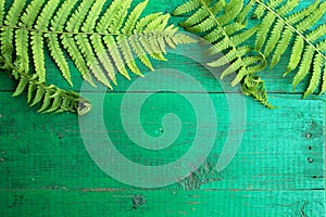Frame from fresh fern leaves on old painted turquoise wooden background with copy space.