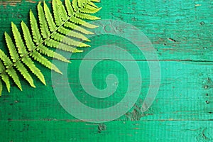 Frame from fresh fern leaves on old painted turquoise wooden background with copy space.