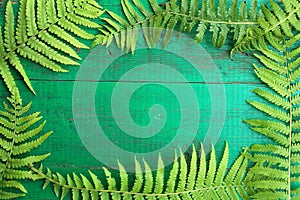 Frame from fresh fern leaves on old painted turquoise wooden background with copy space.