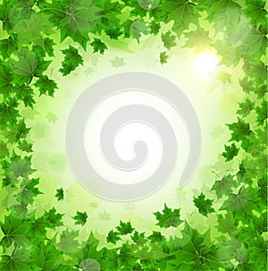 Frame of fresh green leaves of maple. Sunny spring or summer day. Awakening of nature. Cover or background for an article