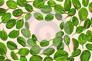 Frame of fresh green spinach leaves on pink background Flat lay top view. Creative food concept. Ingredient for salad. Vegetable