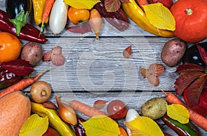 Frame of fresh organic vegetables. Autumn vegetables on a whitewashed oak board