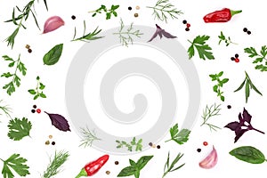 Frame of fresh spices and herbs isolated on white background with copy space for your text. Dill parsley basil. Top view