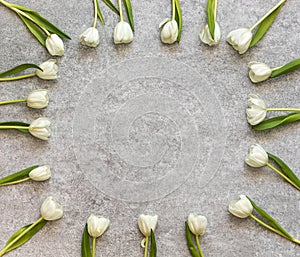 Frame of fresh tulips arranged on old stone background