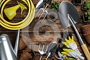 Frame of gardening tools and green plants on wood, flat lay