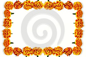 Frame garland of marigold flower for indian hindu religious,weeding decoration isolated on white background with copy space