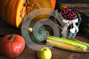 The frame of the gifts of autumn pumpkins, corn, fall leaves, tomatoes, red berry cranberry and grape.