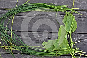 Frame of grass and plantain