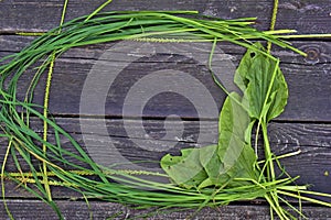 Frame of grass and plantain