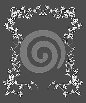 frame on a gray background climbing plant rose hip