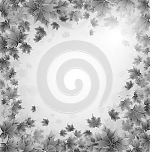Frame of gray leaves of maple. Sunny spring or summer day. Awakening of nature. Cover or background for an article