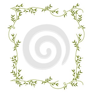 Frame with green creepers nature design