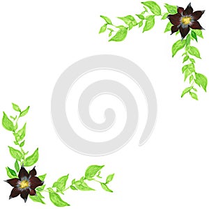 Frame with green leaves and red flowers isolated on white background