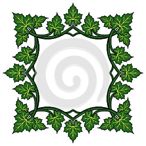 Frame green pumpkin leaves, great design for any purposes. Floral vector illustration.