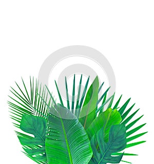 Frame with green tropical leaves. Isolated on white.