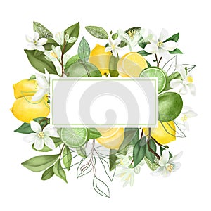 Frame of hand drawn blooming lemon and lime tree branches, flowers, lemons and limes