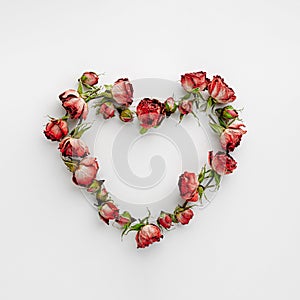 Frame in a heart shape made with dried red roses on white background. valentines day.