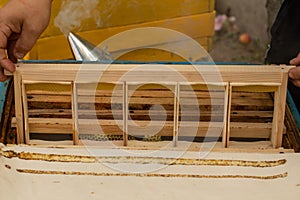 The frame for honeycomb honey is installed in the beehive. A beekeeper works in an apiary near hives and bees.