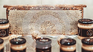 Frame of honeycombs with honey, organic health food farm store showcase