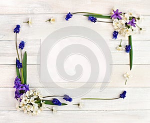 Frame of hyacinths Hyacinthus, muscari and blossom cherry tree on a white wooden background and blank sheet with space for text