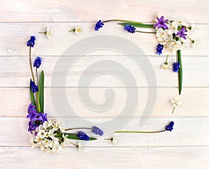 Frame of hyacinths Hyacinthus, muscari and blossom cherry tree on a white wooden background with space for text. Top view